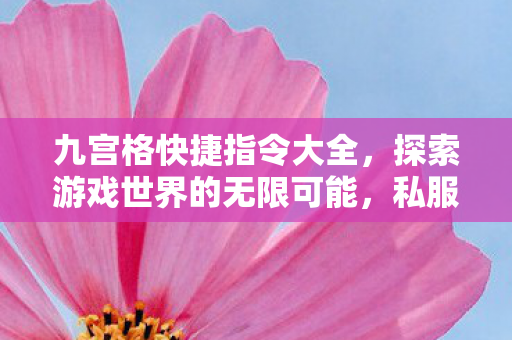九宫格快捷指令大全，探索游戏世界的无限可能，私服与官方服务器的独特魅力
