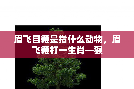 眉飞目舞是指什么动物，眉飞舞打一生肖—猴