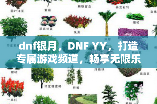dnf银月，DNF YY，打造专属游戏频道，畅享无限乐趣