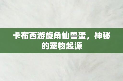 卡布西游旋角仙兽蛋，神秘的宠物起源