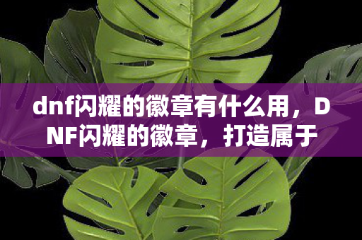 dnf闪耀的徽章有什么用，DNF闪耀的徽章，打造属于你的荣耀徽章