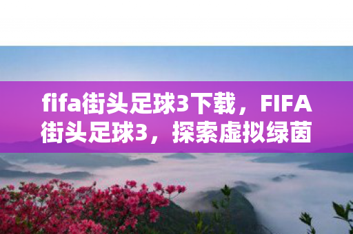 fifa街头足球3下载，FIFA街头足球3，探索虚拟绿茵场的无限可能