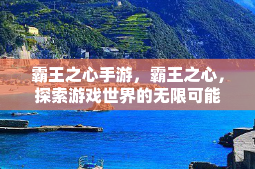 霸王之心手游，霸王之心，探索游戏世界的无限可能