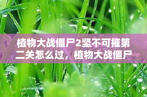 植物大战僵尸2坚不可摧第二关怎么过，植物大战僵尸2，坚不可摧的第二篇章