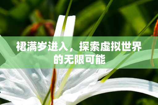 裙满岁进入，探索虚拟世界的无限可能