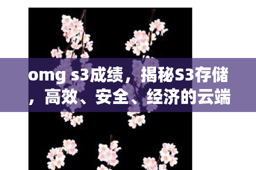 omg s3成绩，揭秘S3存储，高效、安全、经济的云端存储解决方案