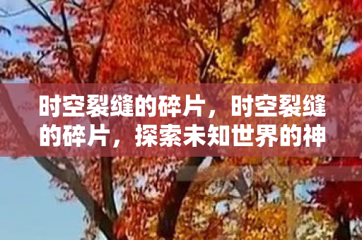 时空裂缝的碎片，时空裂缝的碎片，探索未知世界的神秘钥匙