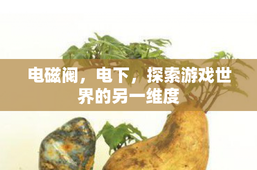 电磁阀，电下，探索游戏世界的另一维度