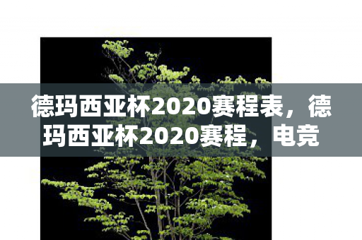 德玛西亚杯2020赛程表，德玛西亚杯2020赛程，电竞盛宴的激情与荣耀