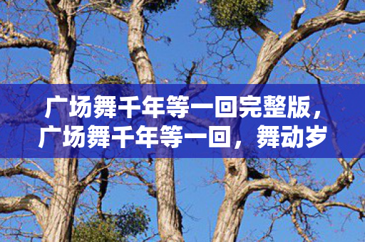 广场舞千年等一回完整版，广场舞千年等一回，舞动岁月的旋律，连接心灵的桥梁