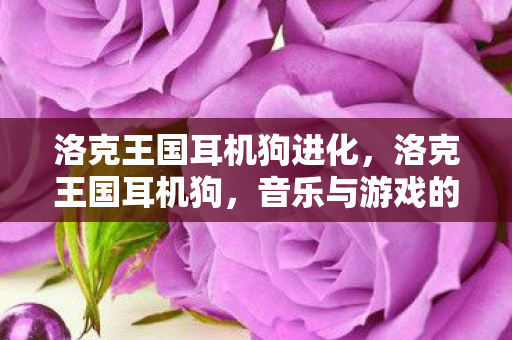 洛克王国耳机狗进化，洛克王国耳机狗，音乐与游戏的完美融合