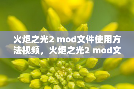 火炬之光2 mod文件使用方法视频，火炬之光2 mod文件使用方法详解