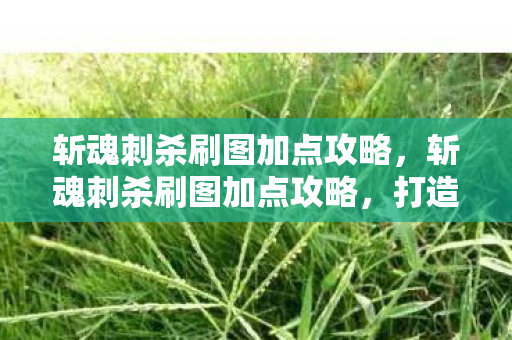 斩魂刺杀刷图加点攻略，斩魂刺杀刷图加点攻略，打造高效战斗体验