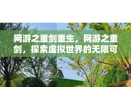 网游之重剑重生，网游之重剑，探索虚拟世界的无限可能