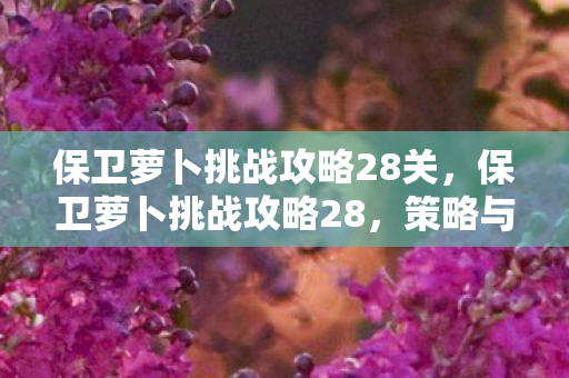 保卫萝卜挑战攻略28关，保卫萝卜挑战攻略28，策略与技巧的深度解析