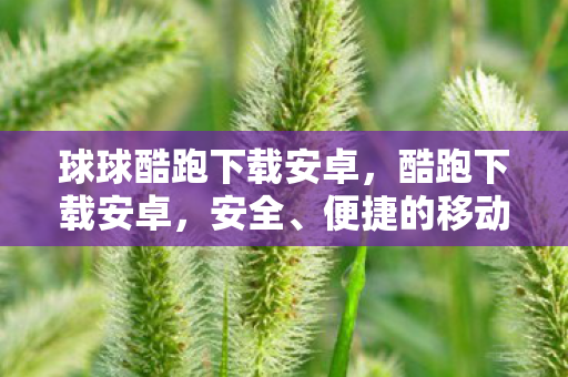 球球酷跑下载安卓，酷跑下载安卓，安全、便捷的移动应用新选择