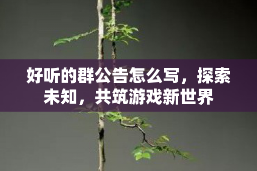 好听的群公告怎么写，探索未知，共筑游戏新世界