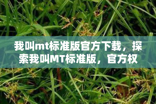 我叫mt标准版官方下载，探索我叫MT标准版，官方权威指南与玩家社区互动新体验