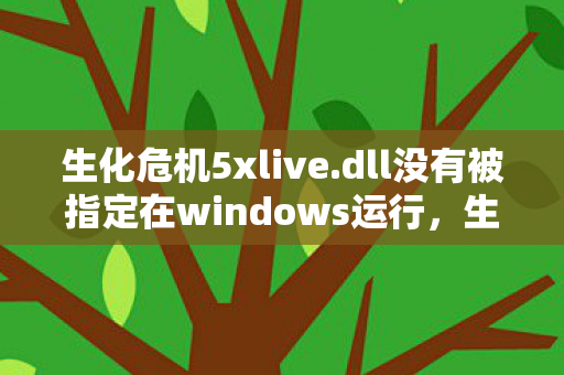 生化危机5xlive.dll没有被指定在windows运行，生化危机5，xlive.dll的奥秘与游戏体验提升