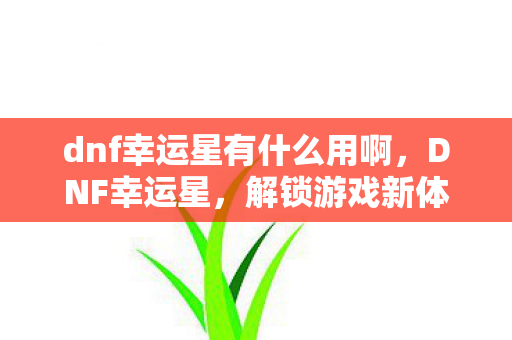 dnf幸运星有什么用啊，DNF幸运星，解锁游戏新体验，提升战力新途径