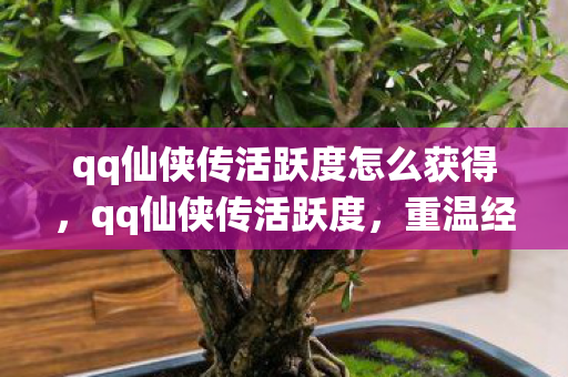 qq仙侠传活跃度怎么获得，qq仙侠传活跃度，重温经典，再续前缘
