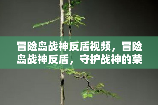 冒险岛战神反盾视频，冒险岛战神反盾，守护战神的荣耀与荣耀背后的挑战