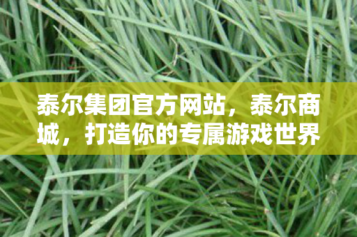 泰尔集团官方网站，泰尔商城，打造你的专属游戏世界