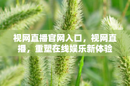 视网直播官网入口，视网直播，重塑在线娱乐新体验