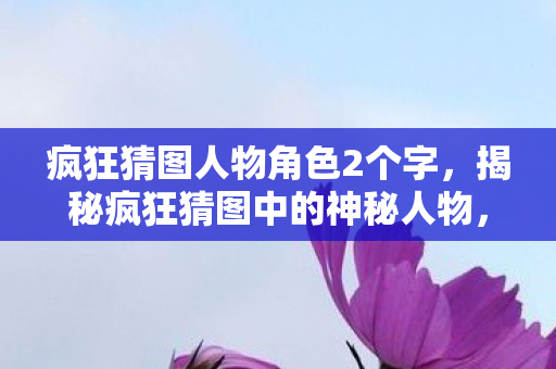 疯狂猜图人物角色2个字，揭秘疯狂猜图中的神秘人物，跨越时空的解谜之旅