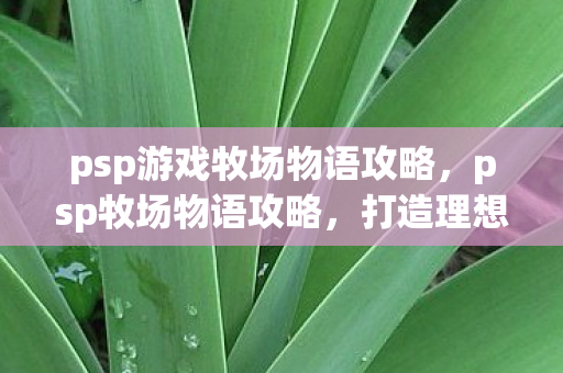 psp游戏牧场物语攻略，psp牧场物语攻略，打造理想牧场的全面指南
