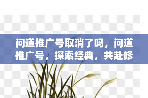 问道推广号取消了吗，问道推广号，探索经典，共赴修仙之旅