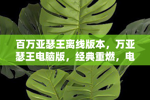 百万亚瑟王离线版本，万亚瑟王电脑版，经典重燃，电脑端再续传奇