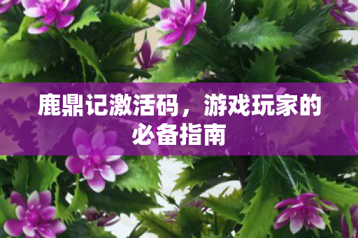 鹿鼎记激活码，游戏玩家的必备指南