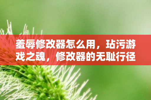 羞辱修改器怎么用，玷污游戏之魂，修改器的无耻行径