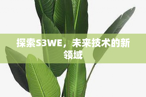 探索S3WE，未来技术的新领域