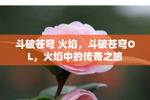 斗破苍穹 火焰，斗破苍穹OL，火焰中的传奇之旅