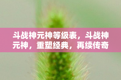 斗战神元神等级表，斗战神元神，重塑经典，再续传奇