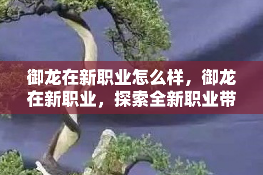 御龙在新职业怎么样，御龙在新职业，探索全新职业带来的无限可能