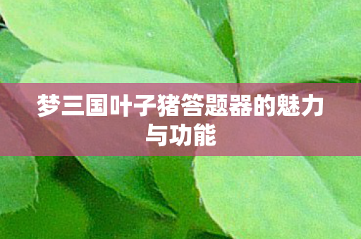 梦三国叶子猪答题器的魅力与功能 梦三国叶子猪答题器的魅力与功能
