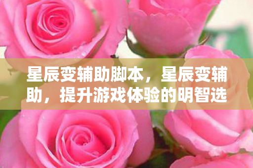 星辰变辅助脚本，星辰变辅助，提升游戏体验的明智选择