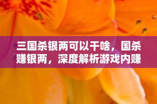 三国杀银两可以干啥，国杀赚银两，深度解析游戏内赚银两的策略与技巧