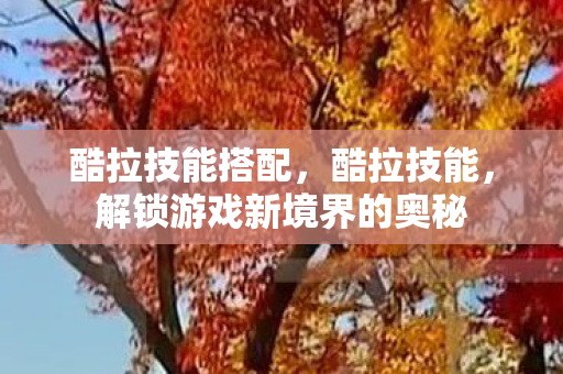 酷拉技能搭配，酷拉技能，解锁游戏新境界的奥秘