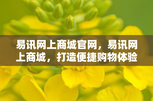 易讯网上商城官网，易讯网上商城，打造便捷购物体验，引领电商新风尚