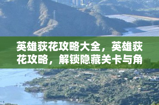 英雄荻花攻略大全，英雄荻花攻略，解锁隐藏关卡与角色成长指南