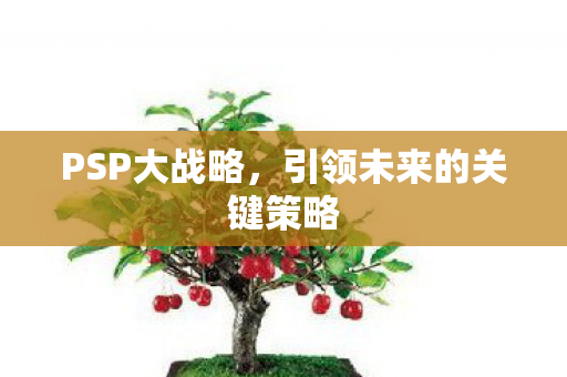PSP大战略，引领未来的关键策略