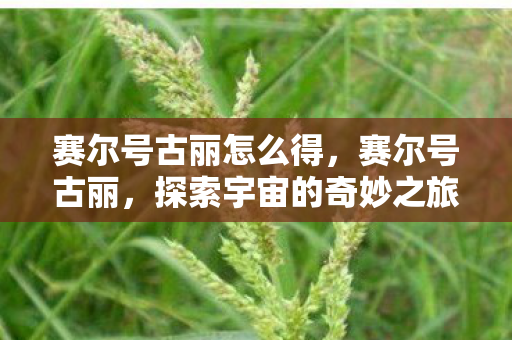 赛尔号古丽怎么得，赛尔号古丽，探索宇宙的奇妙之旅