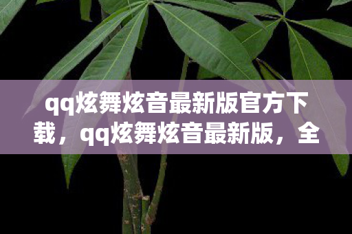 qq炫舞炫音最新版官方下载，qq炫舞炫音最新版，全新音乐节奏体验，打造你的专属舞台