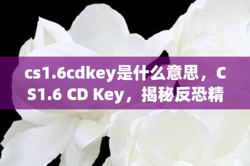 cs1.6cdkey是什么意思，CS1.6 CD Key，揭秘反恐精英1.6版本的密钥奥秘