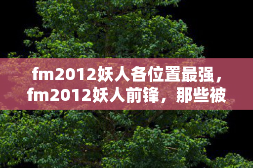 fm2012妖人各位置最强，fm2012妖人前锋，那些被忽视的足球天才