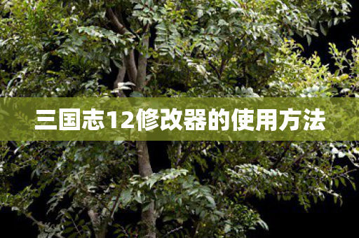 三国志12修改器的使用方法